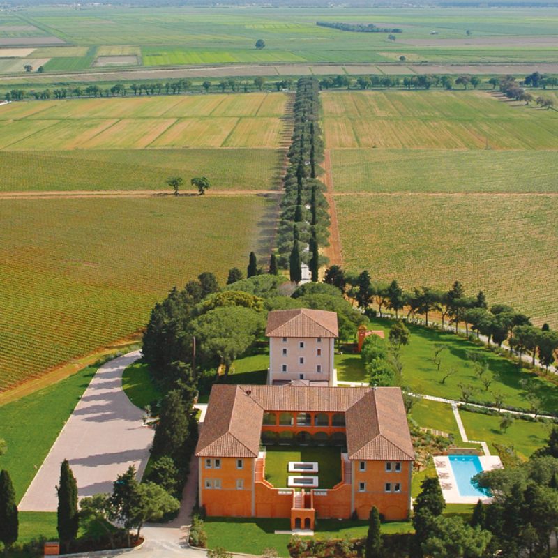 Vista aerea con campi e viale alberato - L’Andana, Castiglione Della Pescaia, Grosseto, Italia - Moretti Modular Contractor